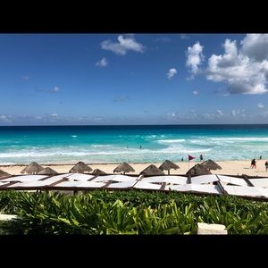 Meet your Posher, Hector